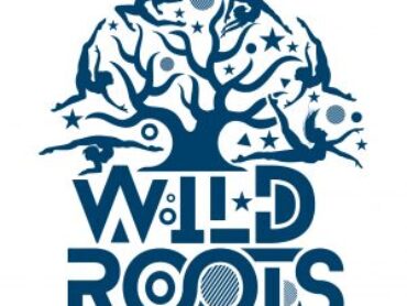 Liquidator appointed to Wild Roots Festival company