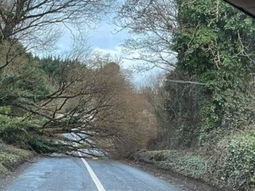 Tree down on Hungry Rock Road