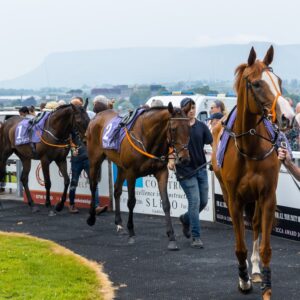 Family Day at Sligo Races today