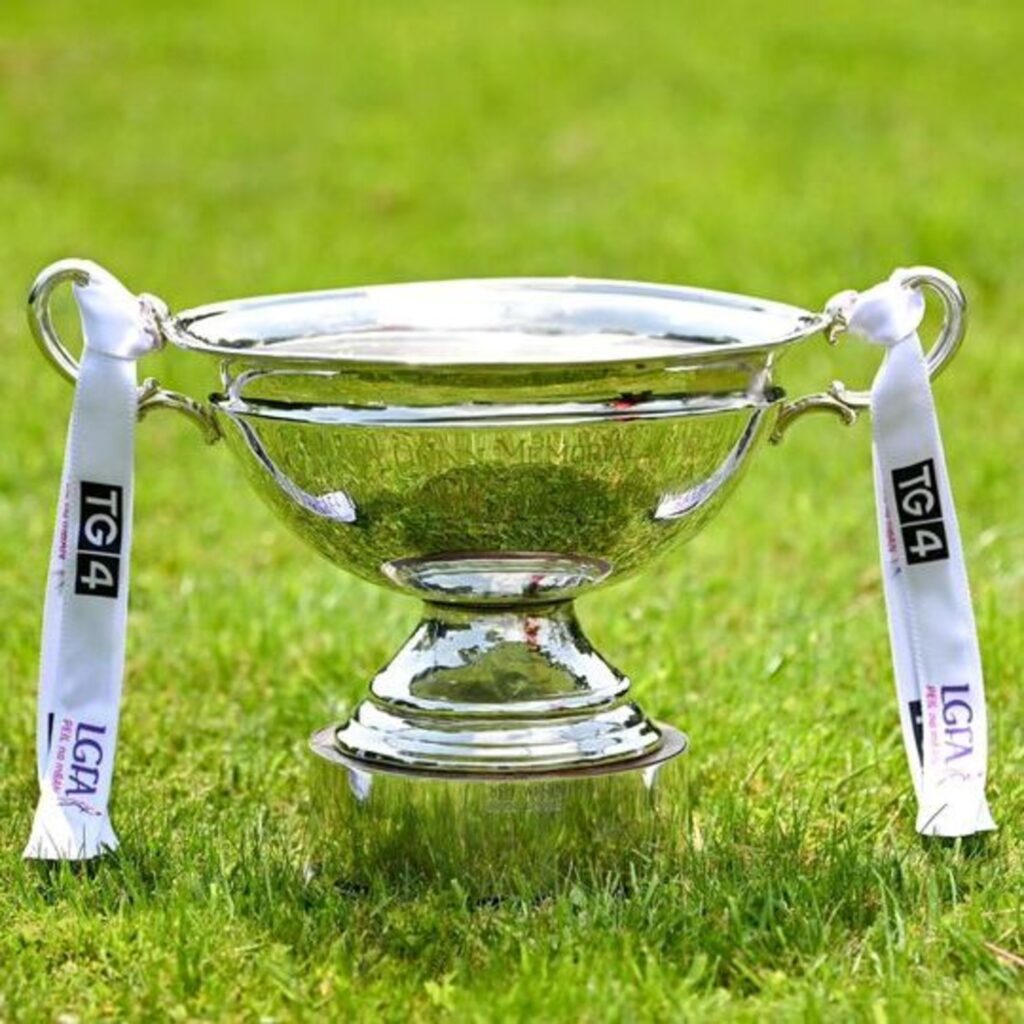 All-Ireland quarter-final championship exit for Leitrim