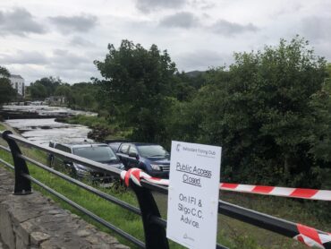 Low water levels could be factor in Ballisodare salmon deaths
