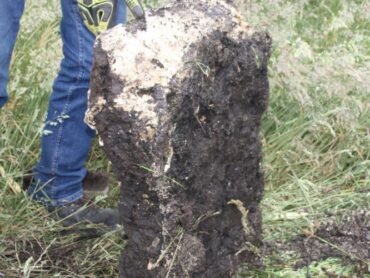 Investigation launched into discovery of bog butter in Donegal