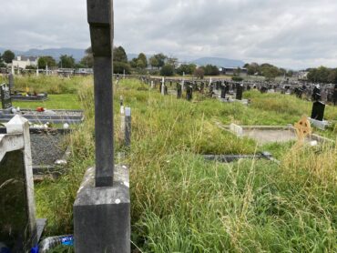 Council  should ‘hang its head in shame’ at state of Sligo Cemetery