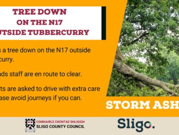 Tree down on N17 outside Tubbercurry