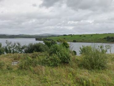 Green liquid at Donegal Bay not a cause for alarm